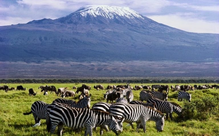 Amboseli