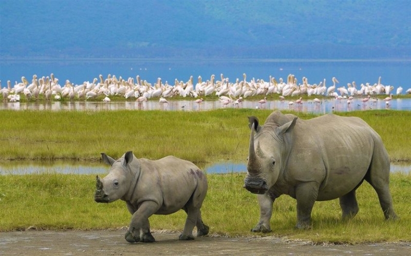 Ngorongoro Crater size