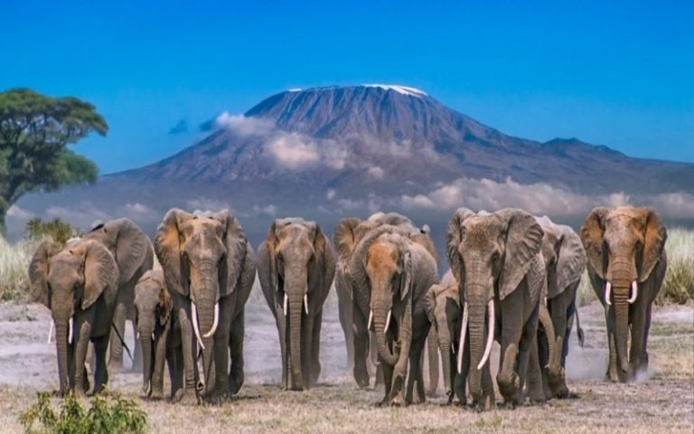 National Park