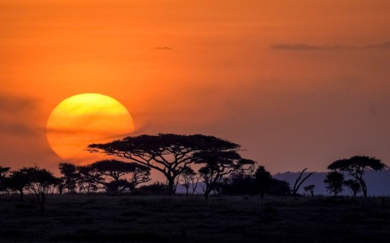 The Serengeti to Ngorongoro Conservation Area Serengeti